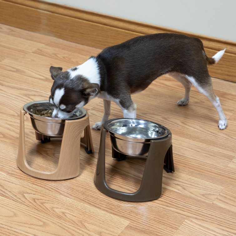 Greyhound elevated outlet feeder